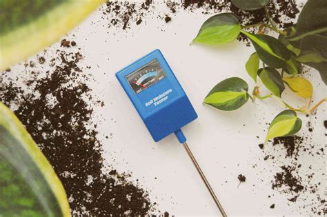 custom how to use a moisture meter for drought resistant plants|moisture meter reading chart.